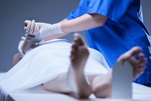 © Photographee.eu - stock.adobe.com Foto: Leichenschau