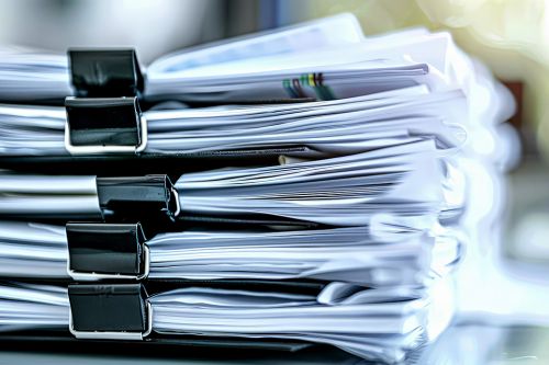 © Yaroslav - stock.adobe.com Foto: Dokumenten Mappe